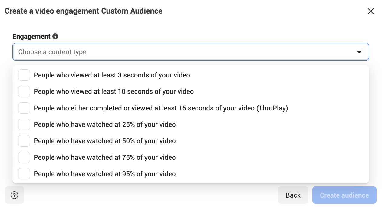 video engagement custom audience